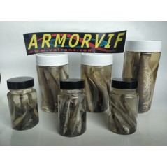 Pack Détaillant Vairons et Gardons en conserve