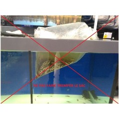 Formation au stockage des vifs