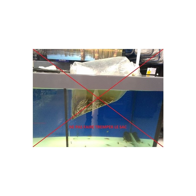 Formation au stockage des vifs