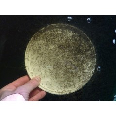 20 milles alevins de vairons offre spéciale AAPPMA